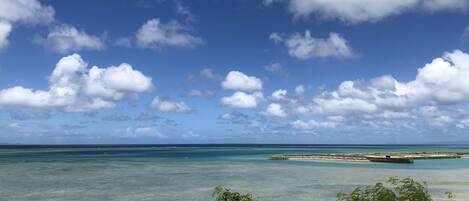 بالقرب من الشاطئ