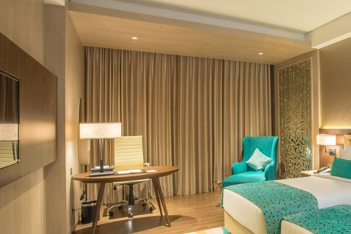 Deluxe Double or Twin Room