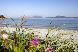View from property - SVS - Pittulongu Apartments (Olbia)