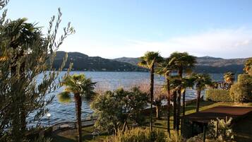 A lakeside view with palm trees, a wooden deck, and a distant mountain range.