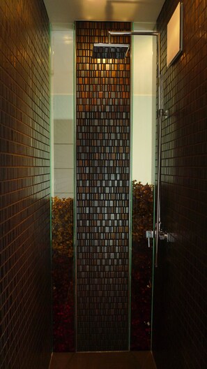 Douche de la salle de bain