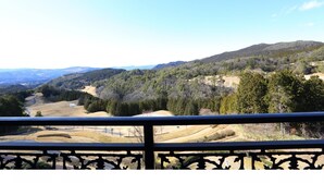 Una vista panorámica desde un balcón con barandilla, que da a un valle con colinas ondulantes, bosques densos y un río.