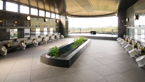 Un baño moderno con varios orinales, un jardín vertical y vistas al exterior.