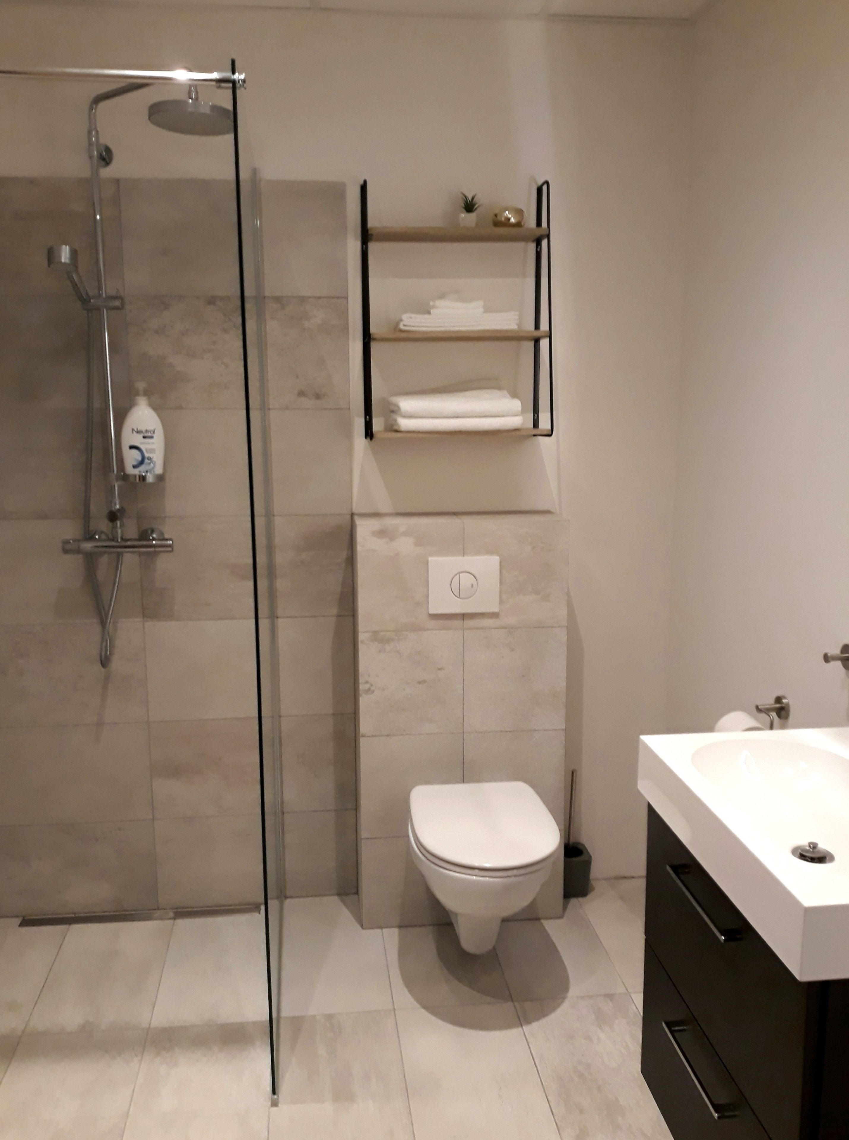 A modern bathroom with a glass-enclosed shower, a toilet, a sink, and shelves with toiletries.