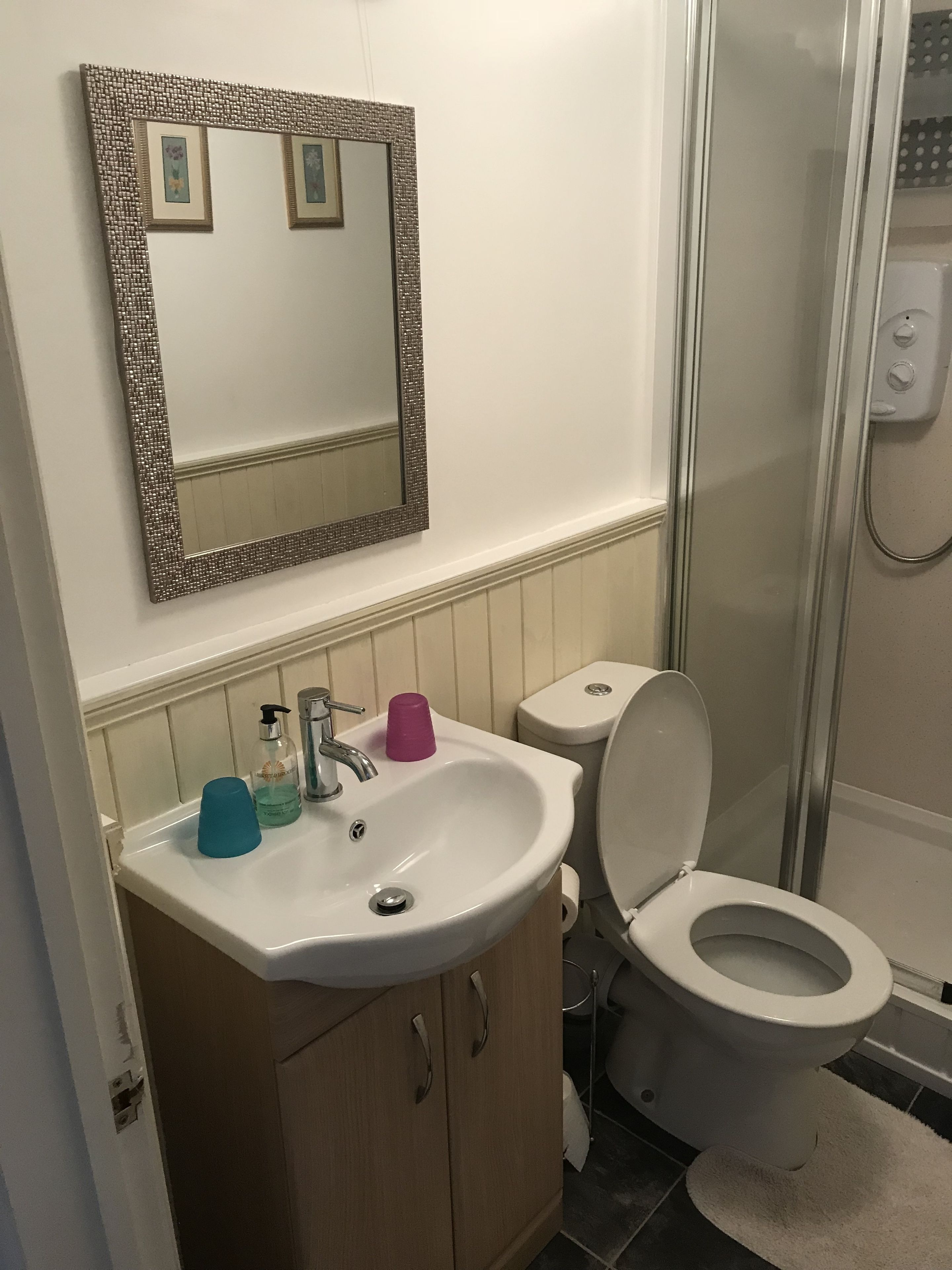A bathroom with a white sink, a mirror, a toilet, and a shower.