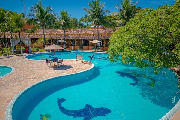 Outdoor pool, open 10:00 AM to 8:00 PM, pool umbrellas, sun loungers