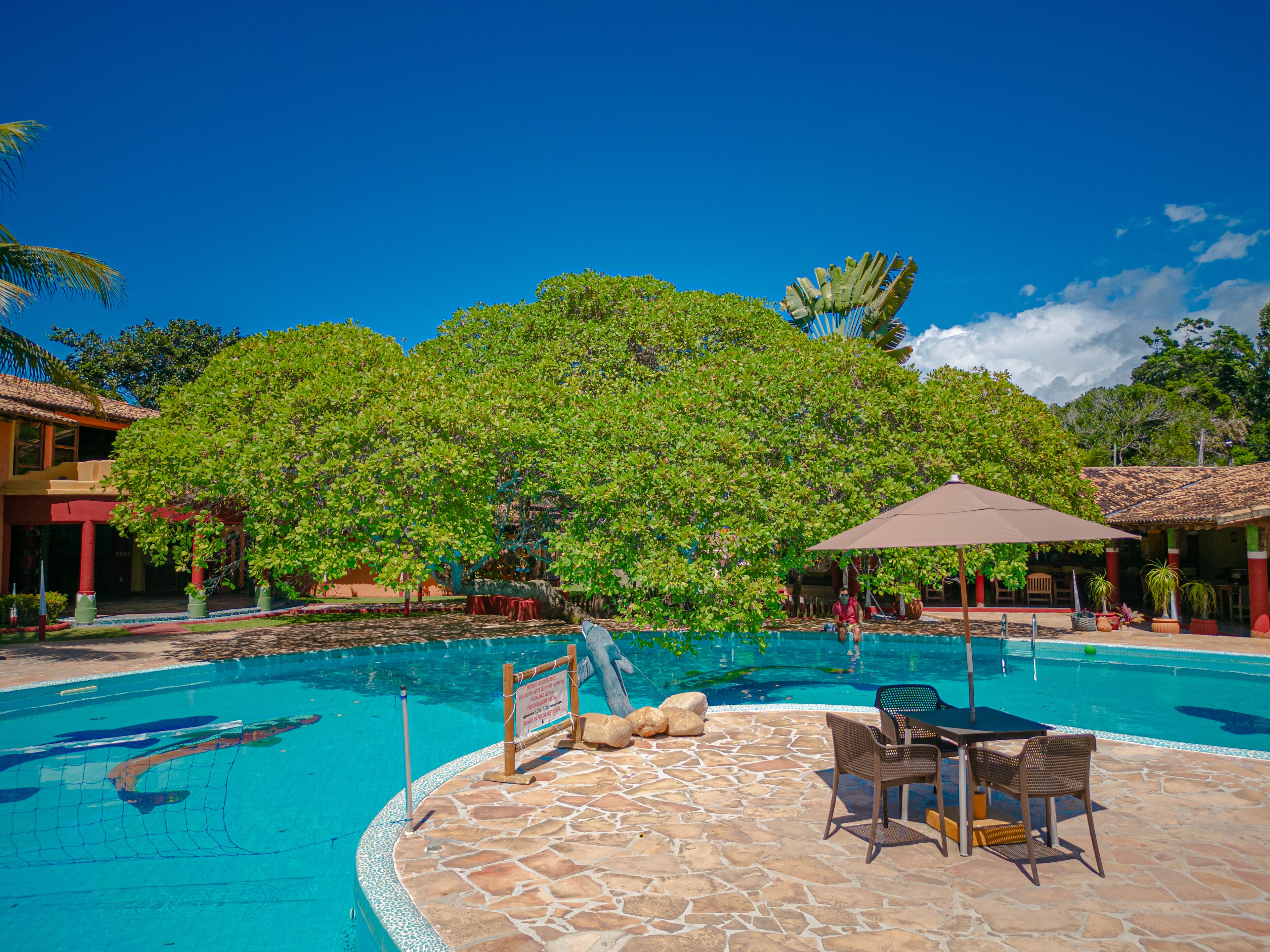 A swimming pool with a stone deck, surrounded by lush greenery and a clear blue sky.