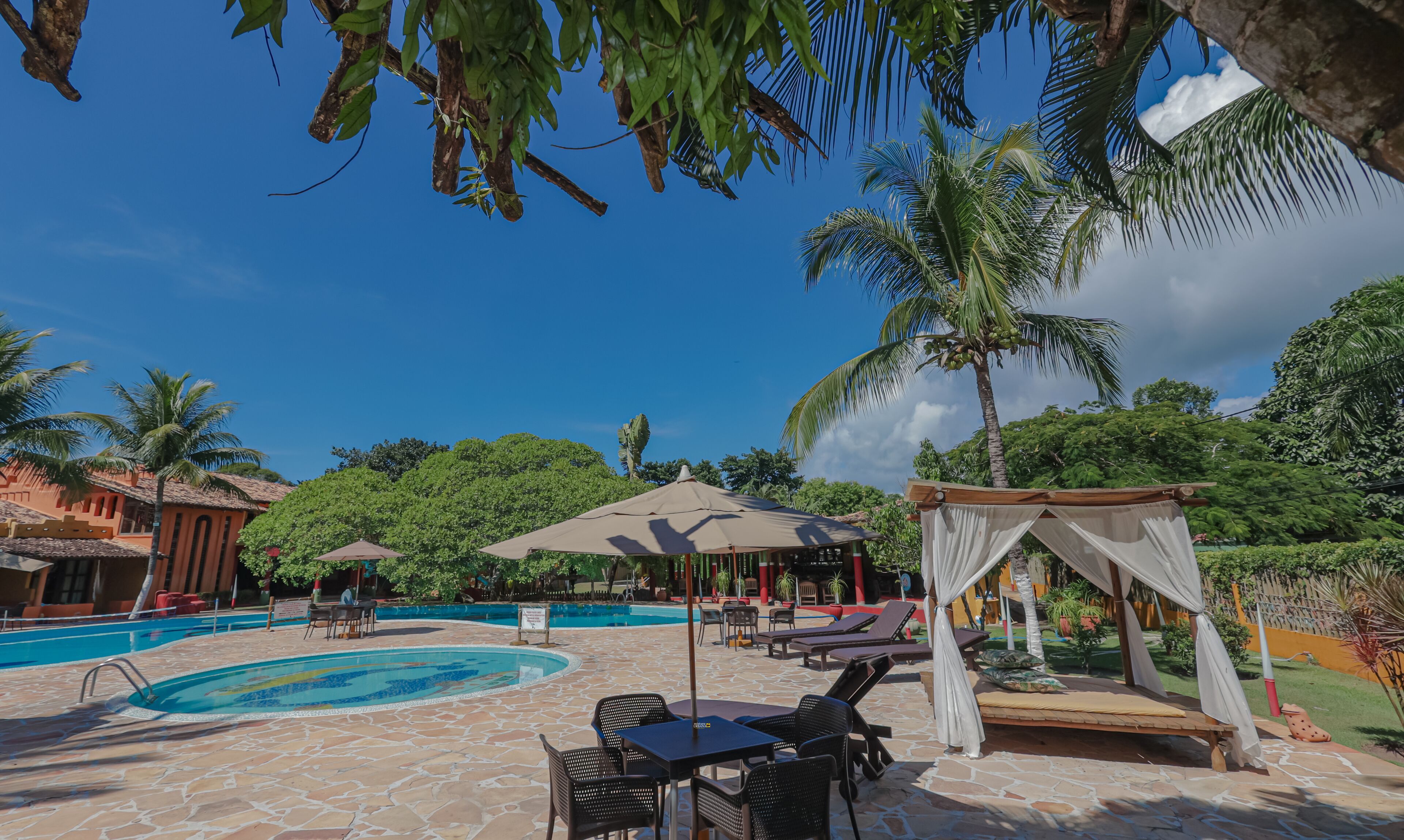 outdoor pool, open 10:00 am to 8:00 pm, pool umbrellas, pool loungers