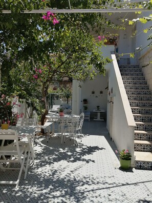 Jardín