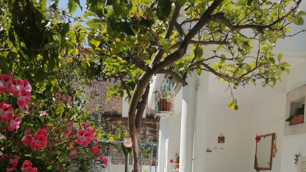 Eine Terrasse im Freien mit einem weißen Tisch und Stühlen, umgeben von Kübelpflanzen und blühenden Büschen.