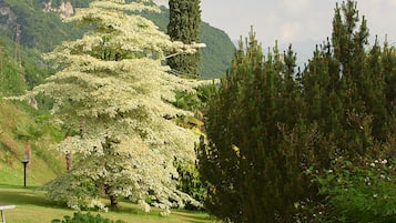 Jardín
