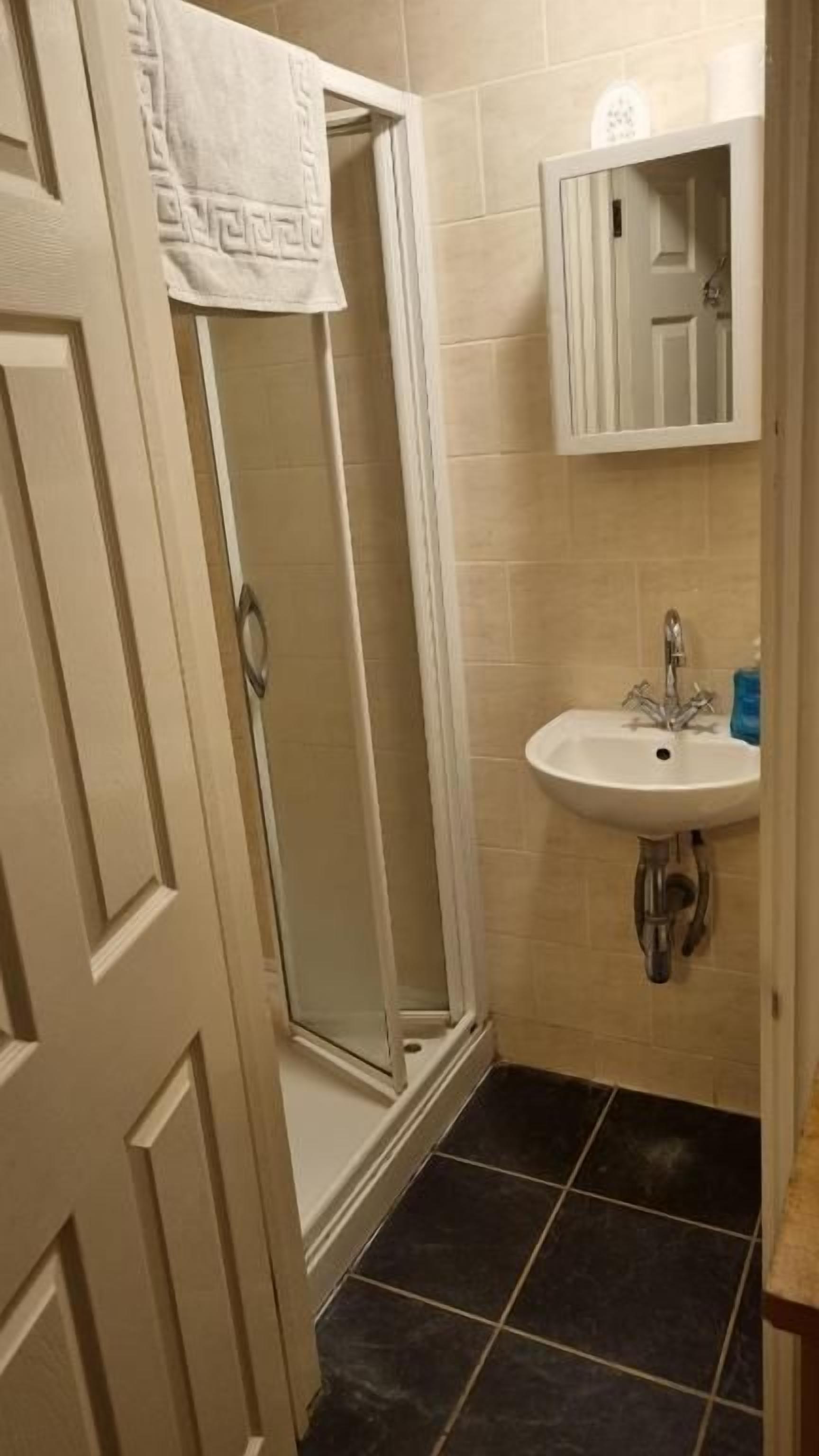 Een badkamer met douche, wastafel en spiegel.
