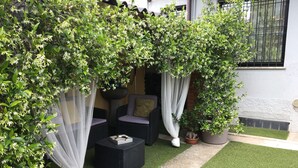 A patio area with a small seating arrangement, a potted plant, and a window with a metal grille. - Guest house 296 (Verona)