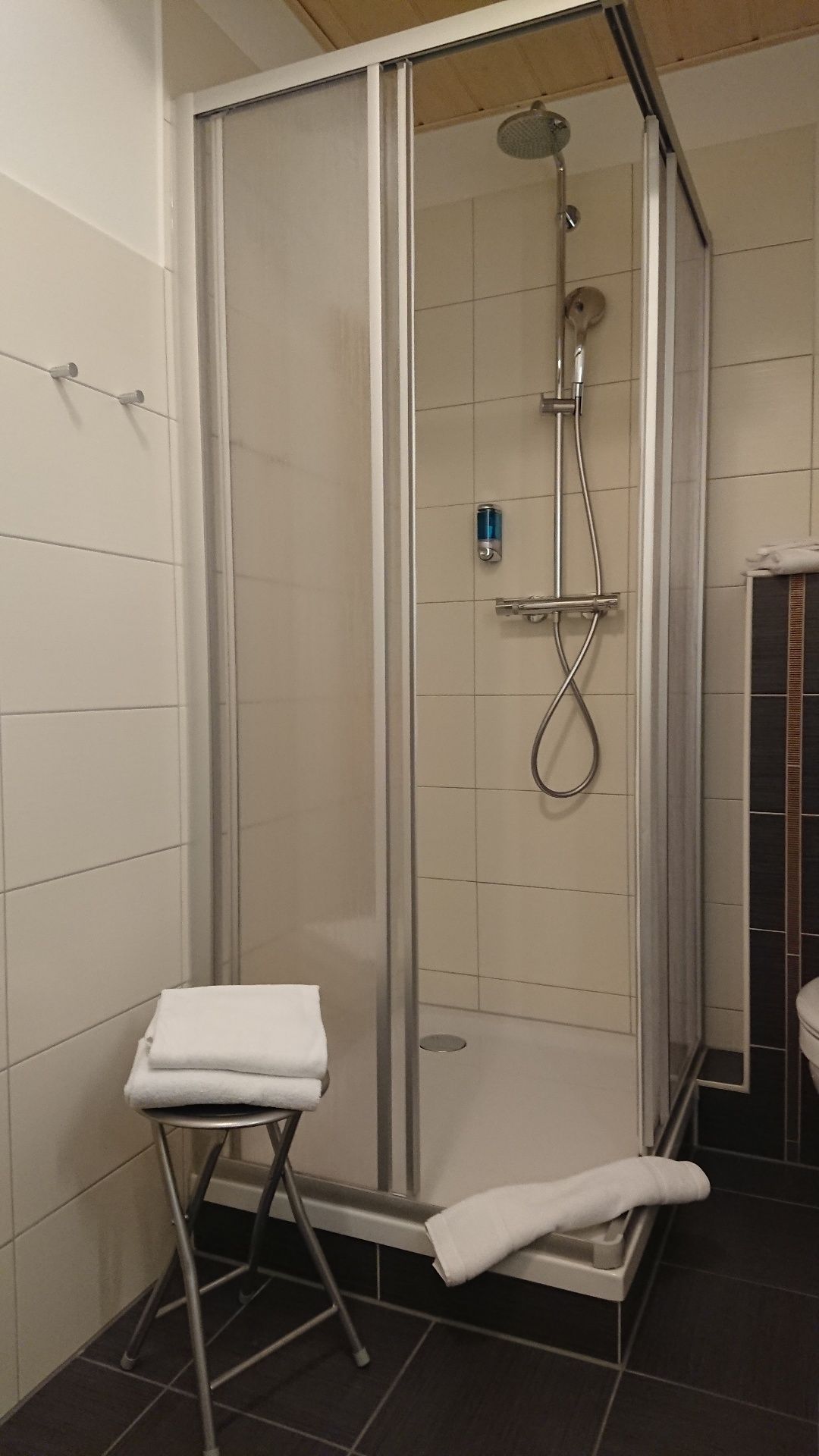 shower, free toiletries, hair dryer, towels
