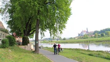 A riverside path with a large tree, a bridge in the background, and buildings on the opposite bank.
