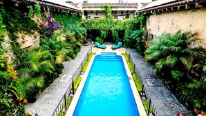 Une piscine rectangulaire dont le centre est de couleur bleue, entourée d’une végétation luxuriante et d’un mur de pierre.