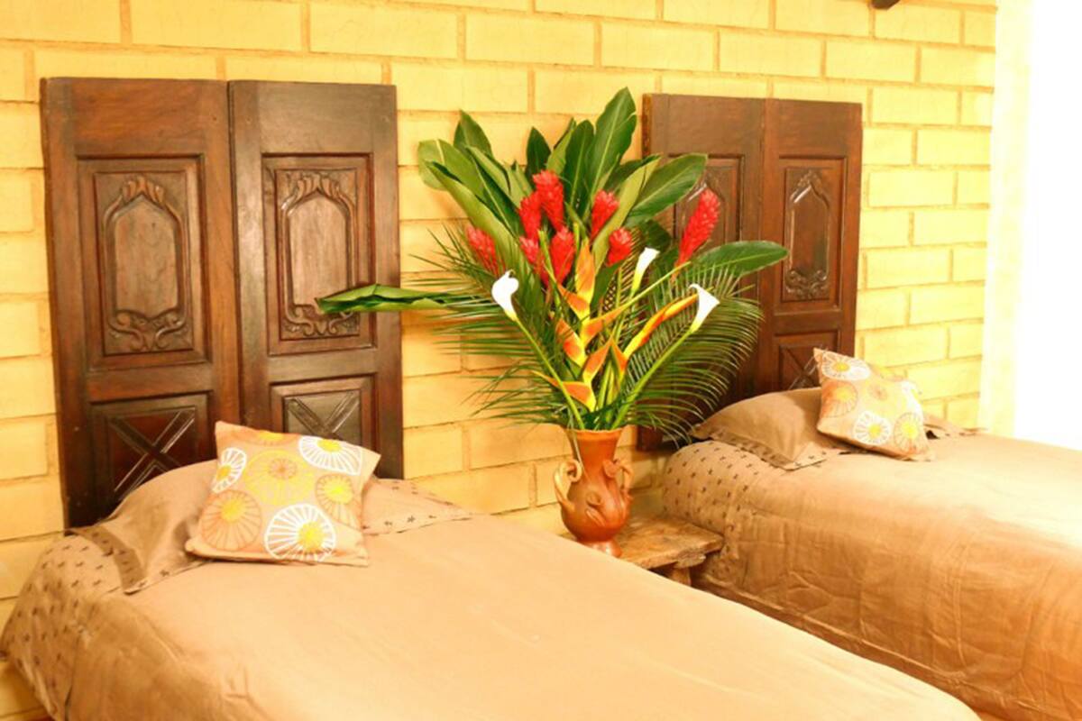 A hotel room with two beds, a large potted plant with red flowers, and a brick wall.