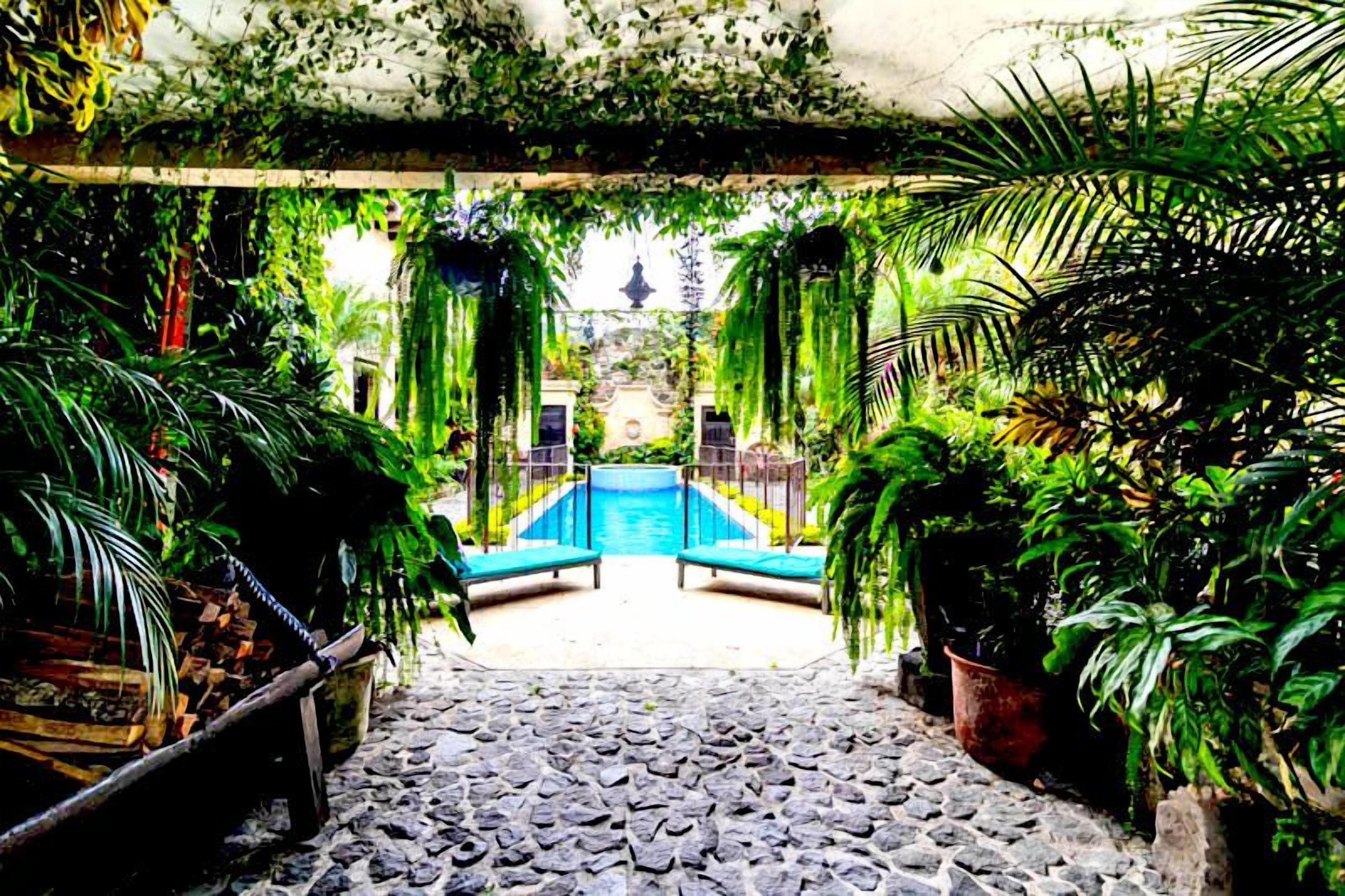 Un sentier mène à un espace piscine entouré d’une végétation luxuriante et de plantes en pot.