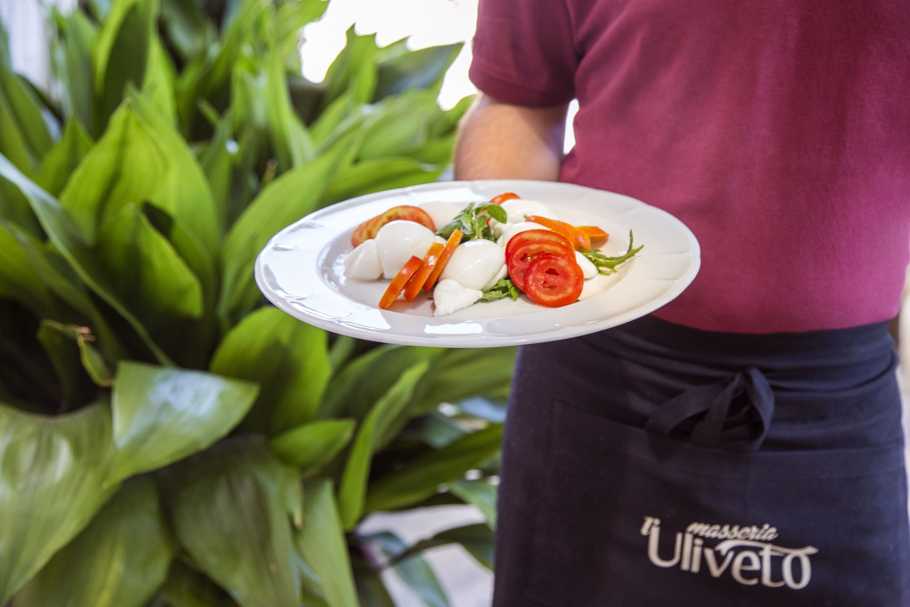 A person holding a plate with a dish of mozzarella balls, tomatoes, and greens.