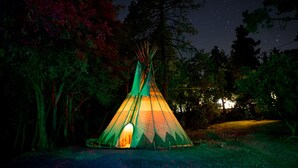 Courtyard - Hicksville Pines Chalets & Motel (Idyllwild)
