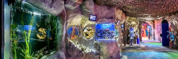 Tienda de regalos