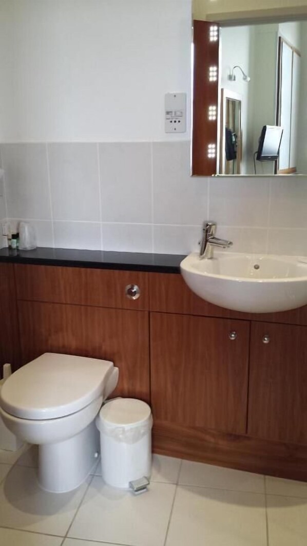 Baño con inodoro, lavabo y espejo.