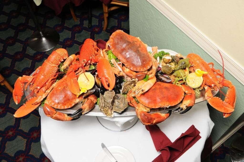 Foto - Dolphin Hotel