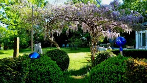 A garden with a pergola covered in purple flowers, neatly trimmed bushes, and a blue spherical sculpture. - Am Eichholz Galerie & Art Hotel (Murnau am Staffelsee)