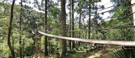 A suspension bridge in a forested area with a wooden walkway and metal cables.