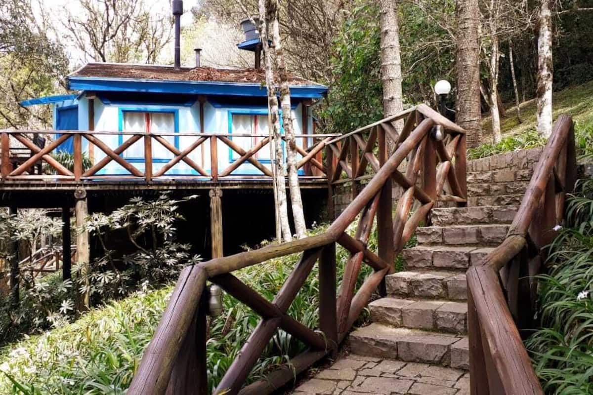 A wooden staircase leading to a blue building with a balcony, surrounded by greenery.