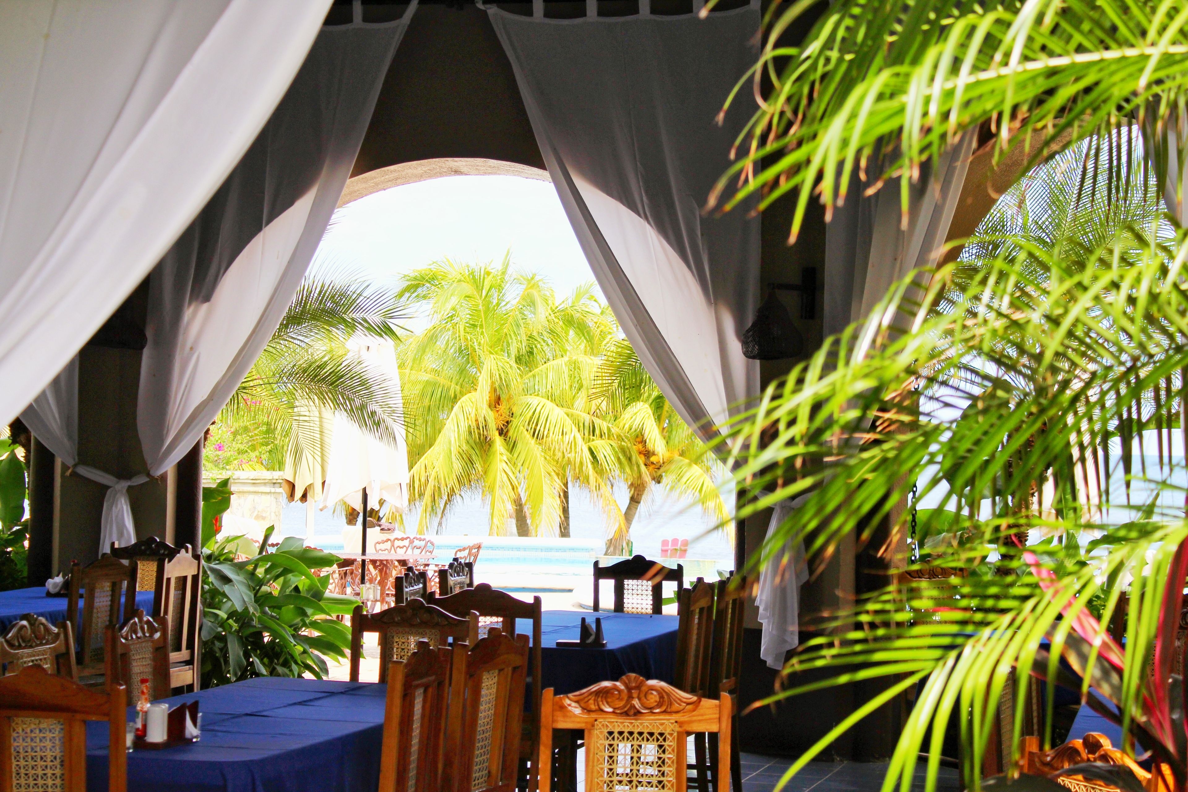 An outdoor dining area with tables set for guests, surrounded by lush greenery and palm trees.