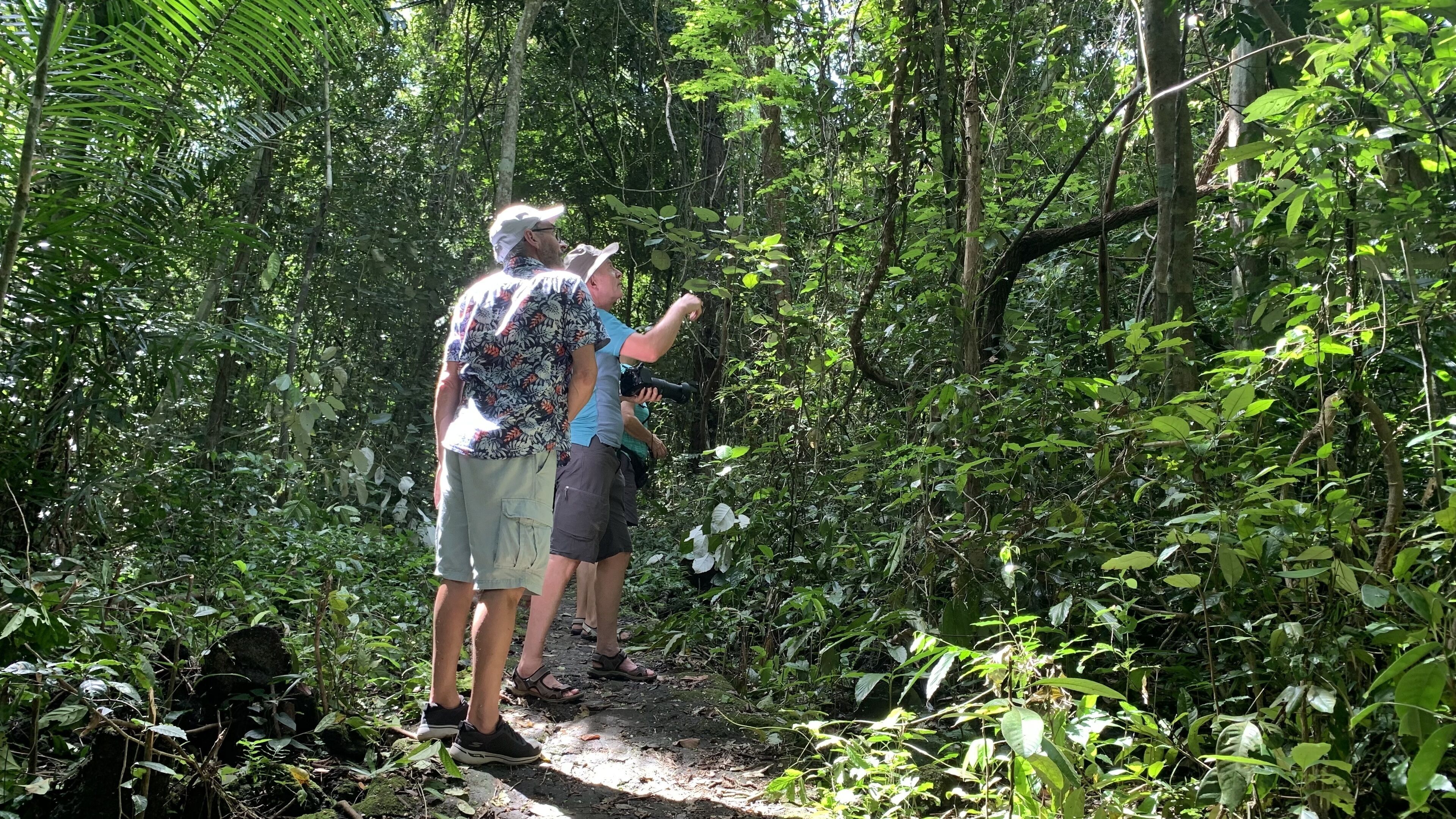 A group of people in a forested area, possibly on a hike or nature walk.