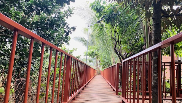 A wooden bridge with metal railings surrounded by dense foliage. - Gibbon Singing Homestay (Nam Cat Tien)