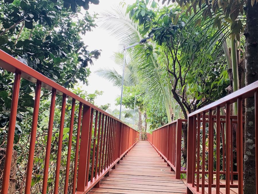 Egyptian cotton sheets, premium bedding, down comforters