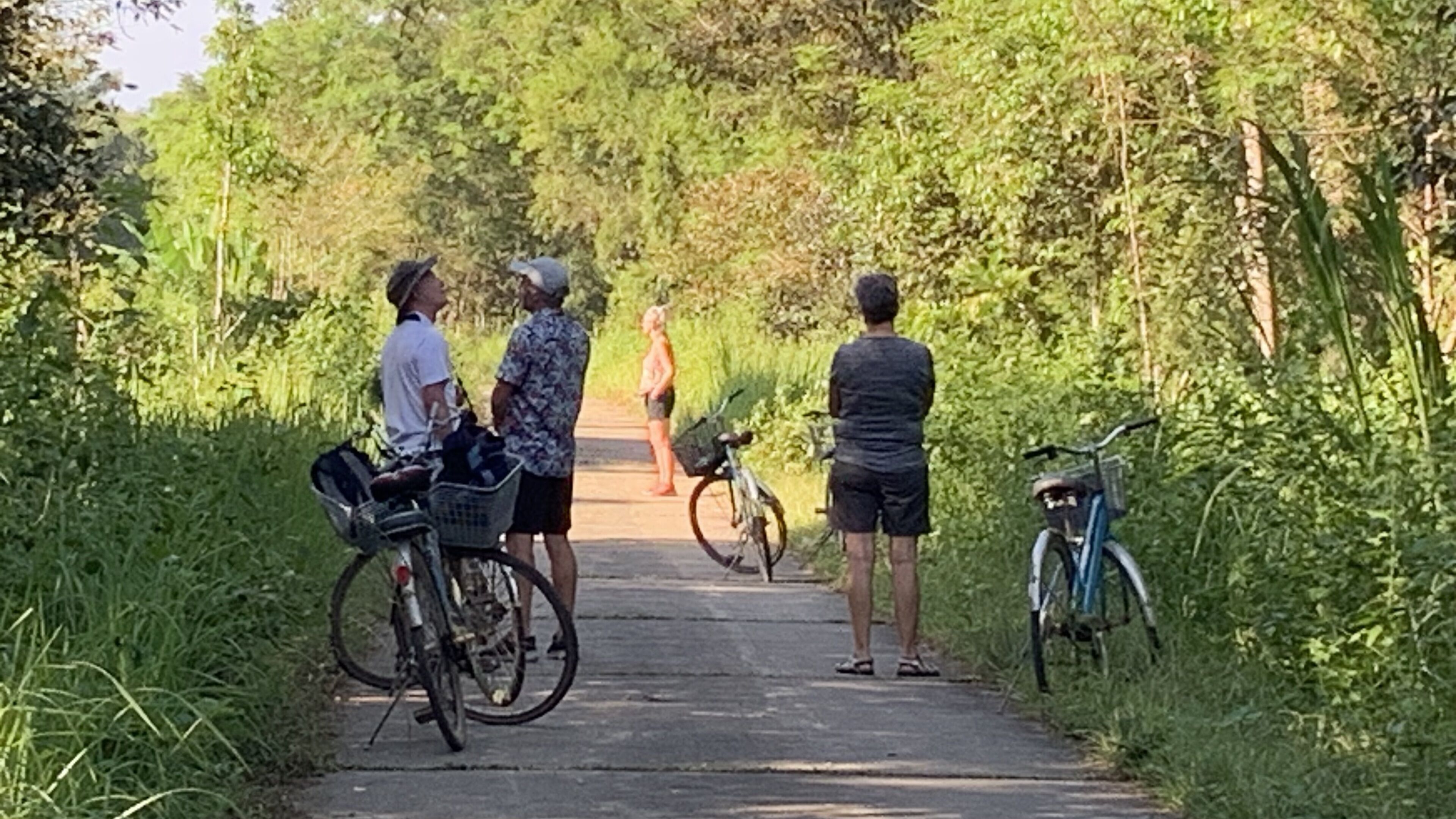 A paved path with bicycles parked on either side, surrounded by greenery.