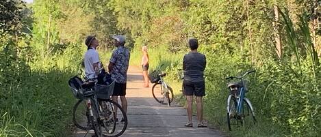 A paved path with bicycles parked on either side, surrounded by greenery.