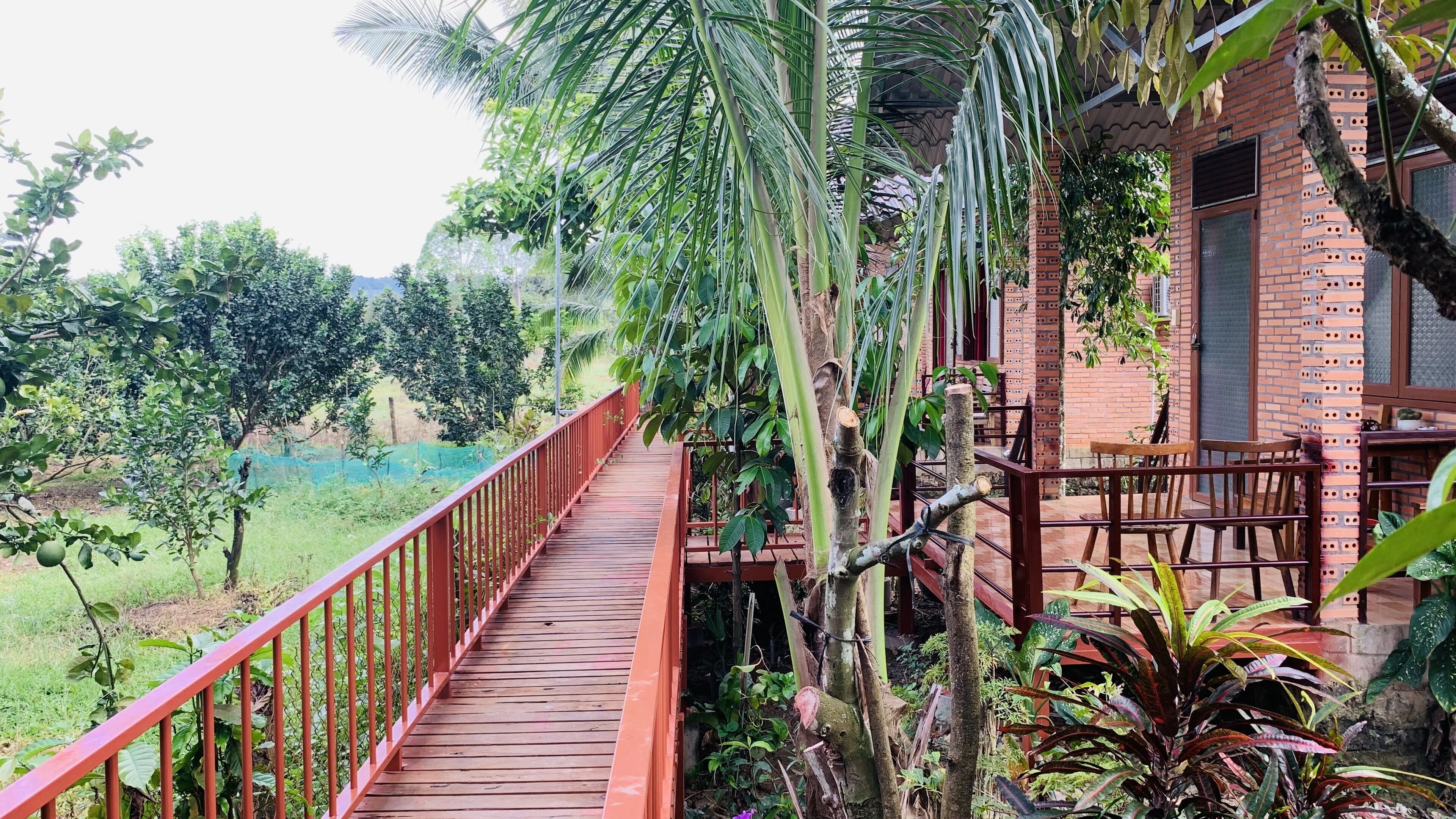 Egyptian cotton sheets, premium bedding, down duvets