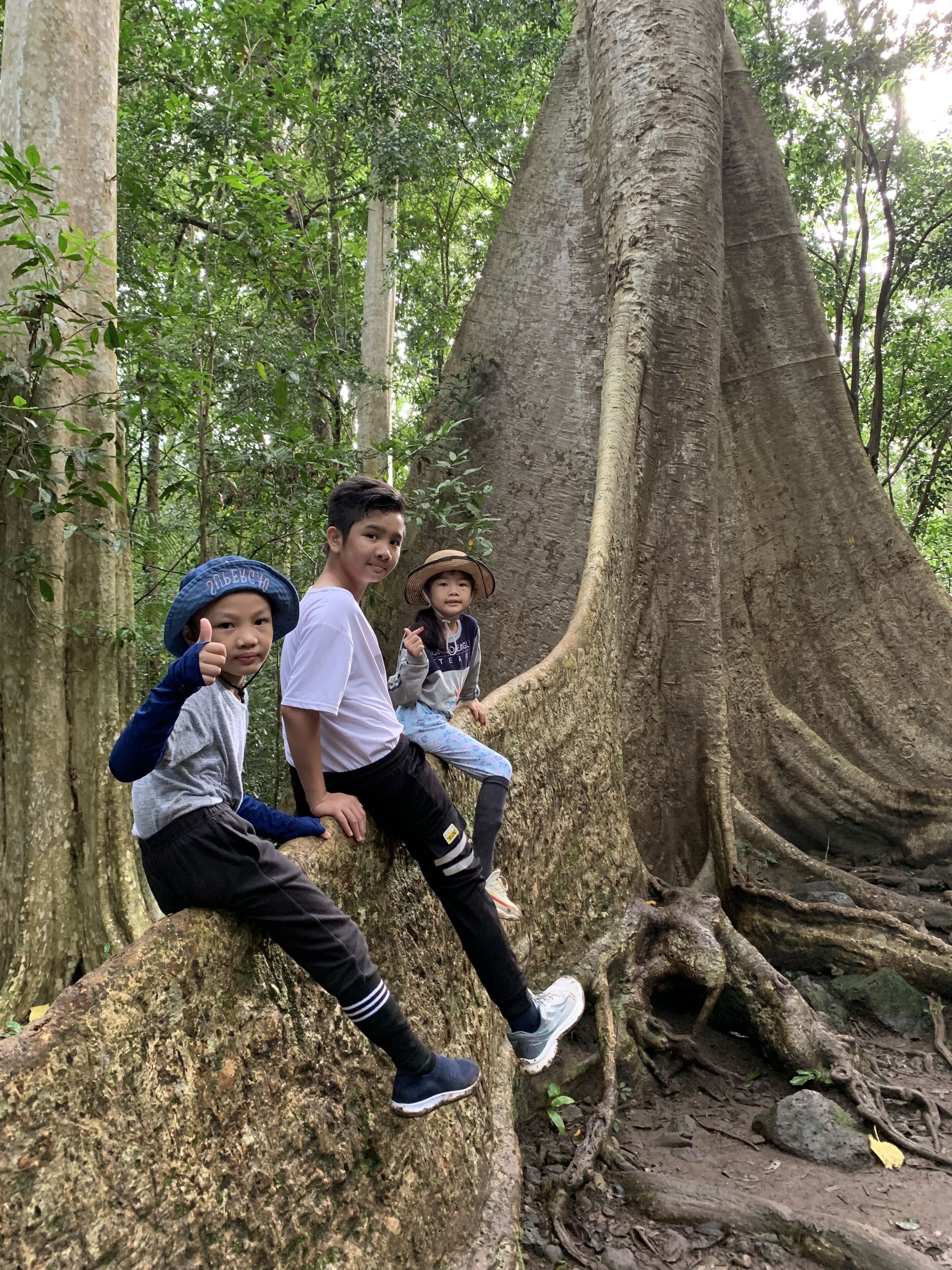 Three individuals sitting on a tree trunk in a forested area with large tree roots.