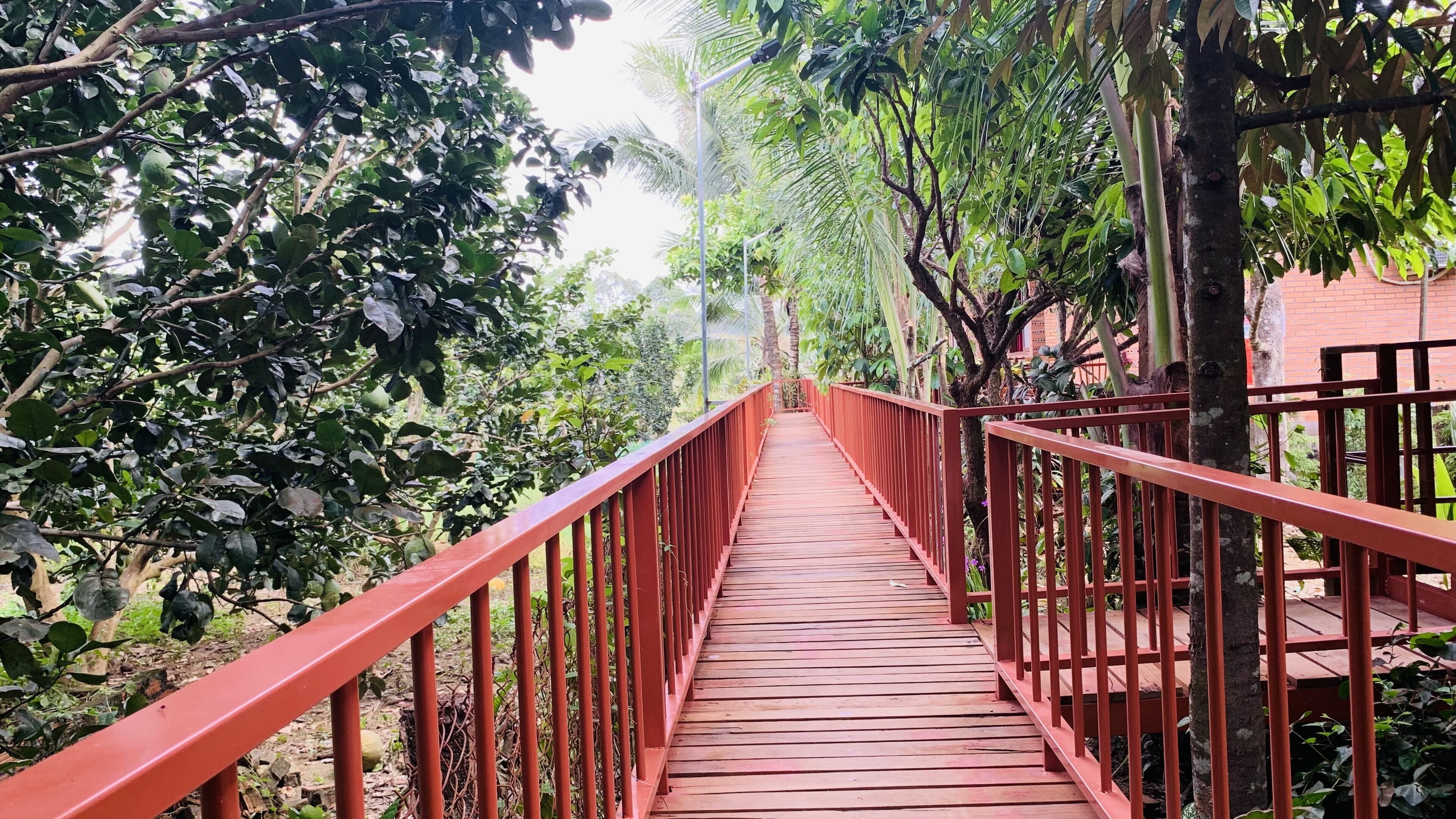 Family Quadruple Room | View from room