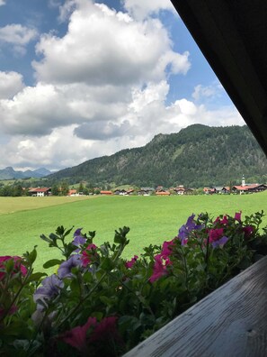 Ausblick vom Zimmer