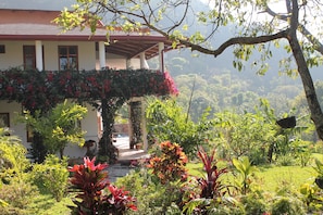 Front of property - Casa Valdres (Santa Cruz La Laguna)