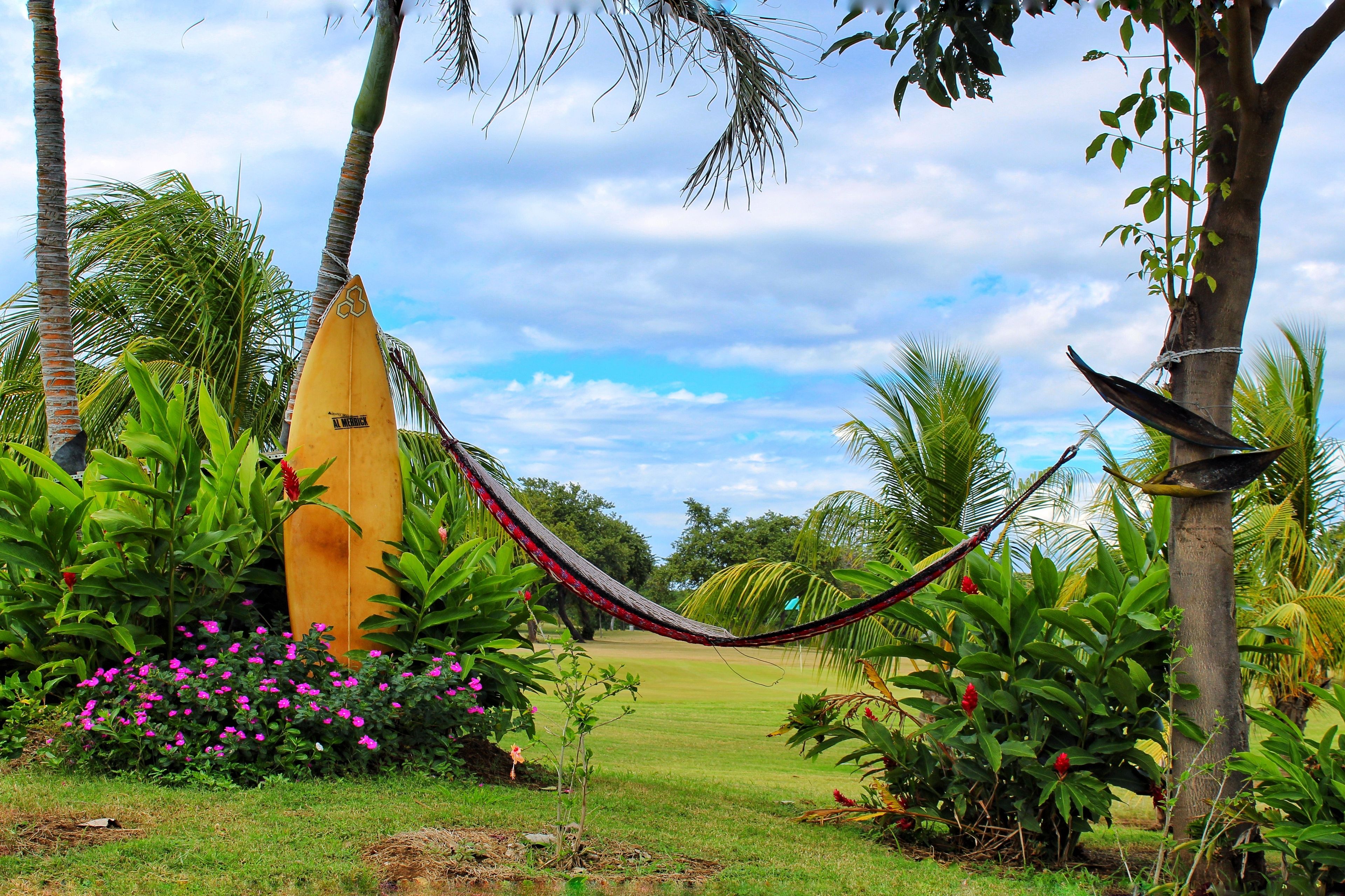 A hammock between palm trees in a lush garden with a surfboard leaning against a tree.