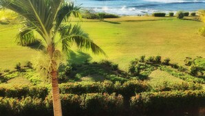 A coastal landscape with a grassy area, palm trees, and a view of the ocean. - Suite Rivas 126 Gran Pacifica Resort (Villa El Carmen)