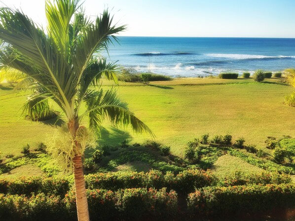 A coastal landscape with a grassy area, palm trees, and a view of the ocean. - Suite Rivas 126 Gran Pacifica Resort (Villa El Carmen)