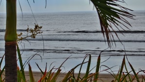A beach with waves, a palm tree, and some grass in the foreground. - Suite Rivas 126 Gran Pacifica Resort (Villa El Carmen)