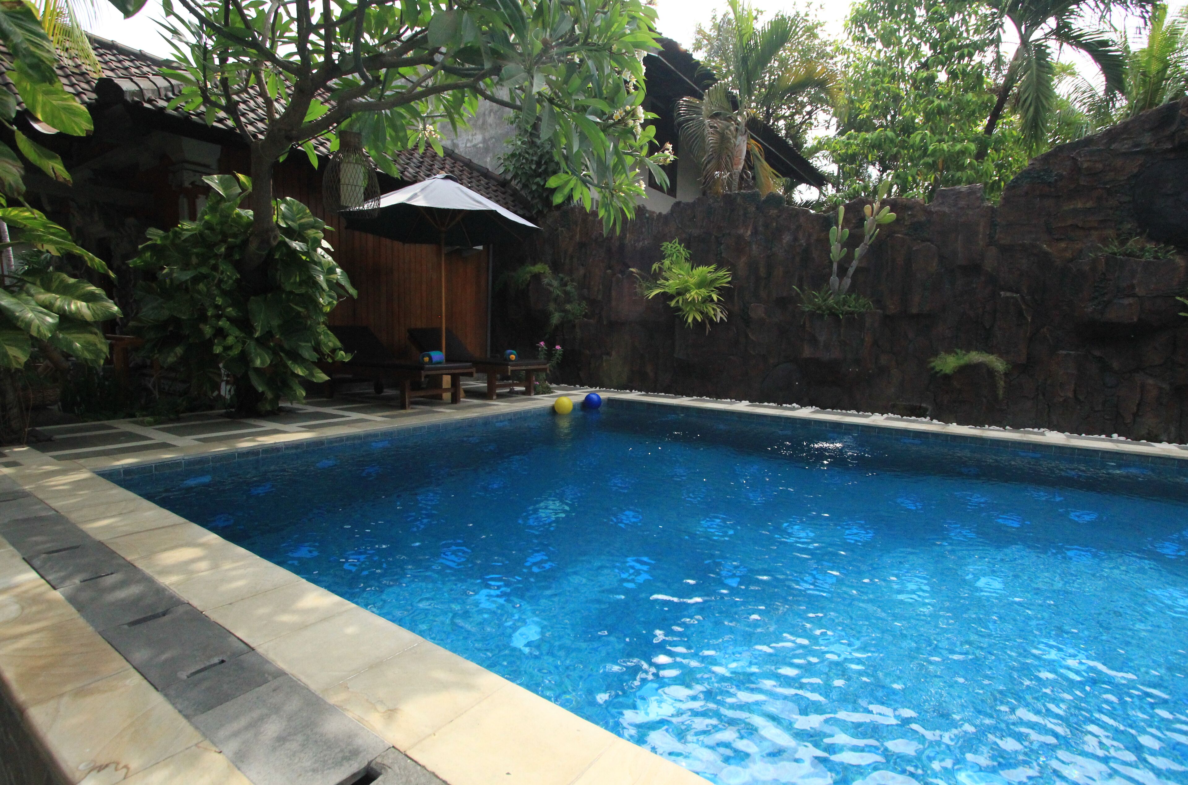A swimming pool with a stone border, surrounded by tropical plants and a wooden structure with a roof.