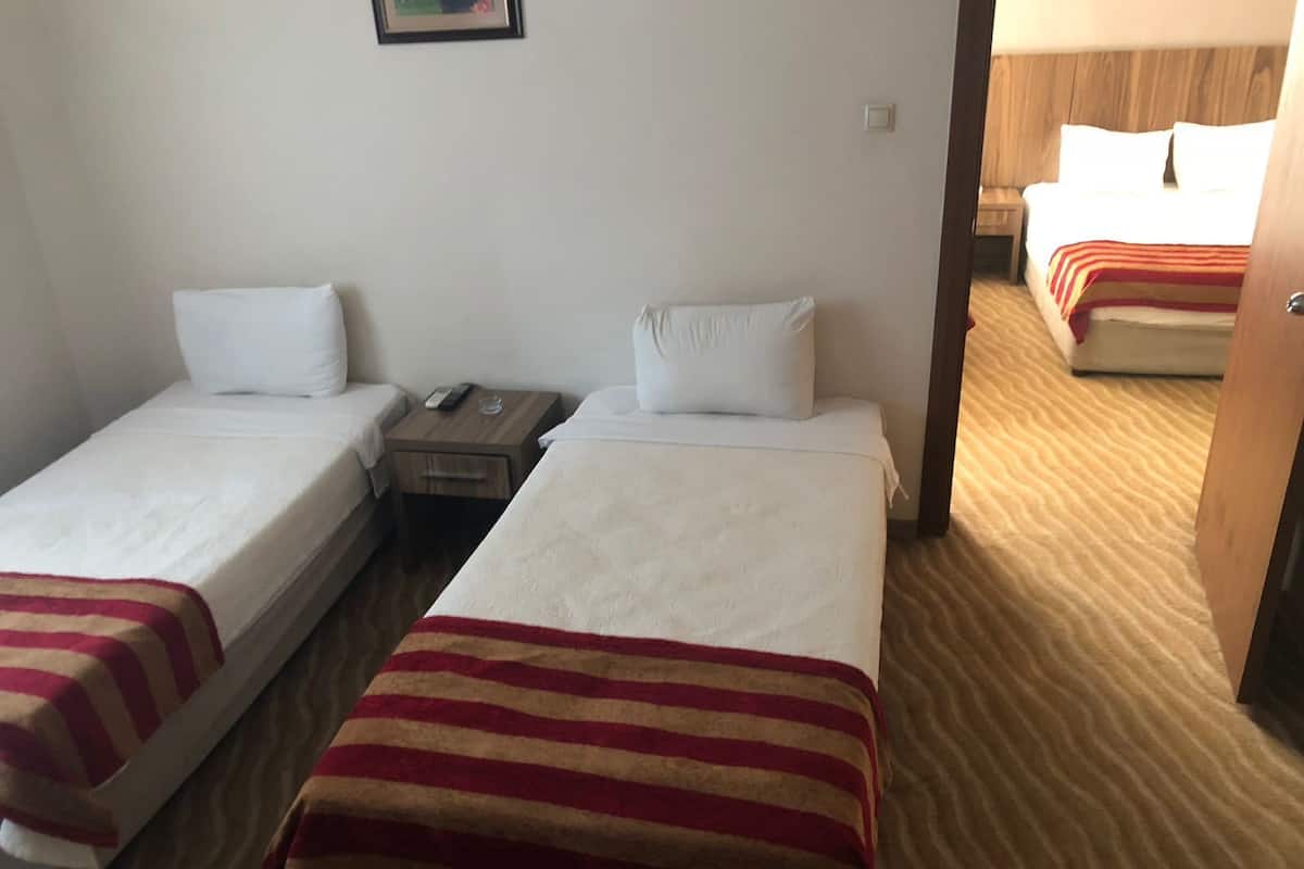 A hotel room with two single beds, each with a white pillow and a striped blanket. There is a wooden nightstand with a remote control and a small table lamp. The room has a wooden headboard and a carpeted floor.