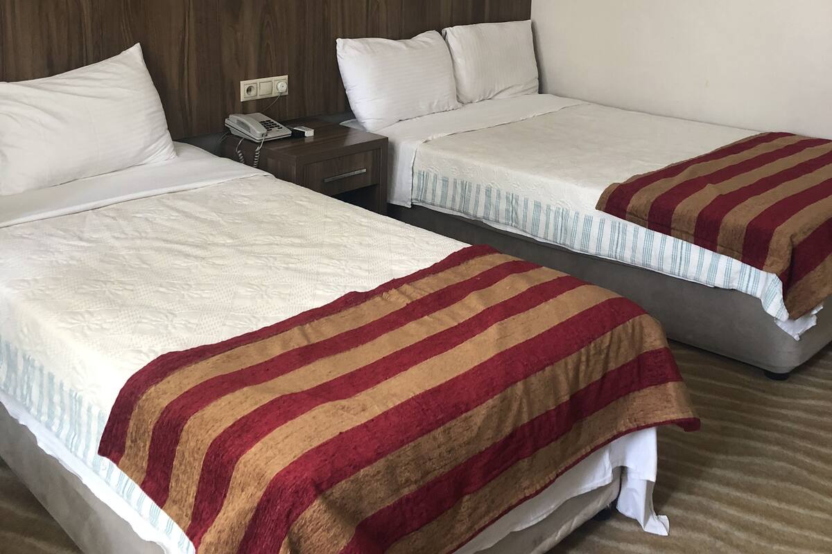 Two twin beds with white linens and striped blankets, a wooden headboard, a bedside table with a phone, and a plain wall.