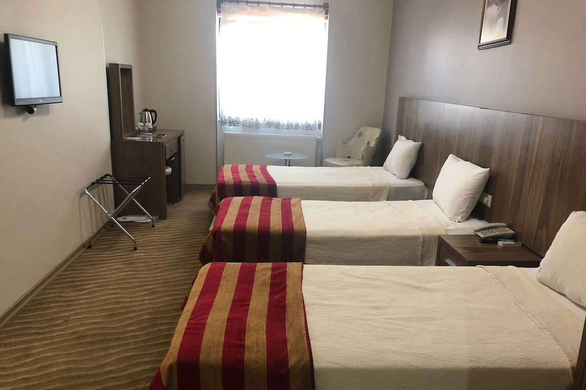 A hotel room with two beds, a desk, a chair, a TV, and a window with a view.