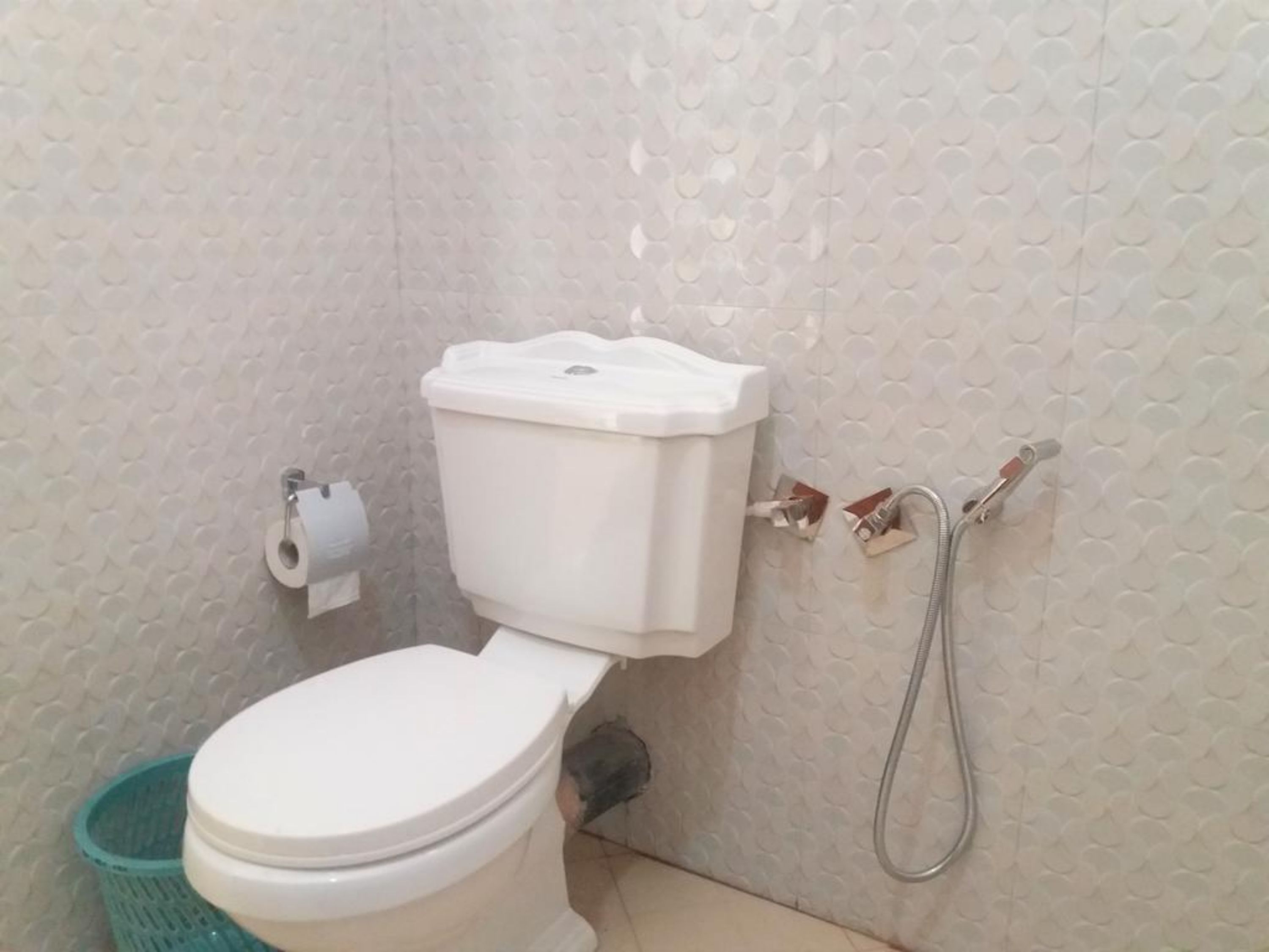 Photo - Dinaro Guest